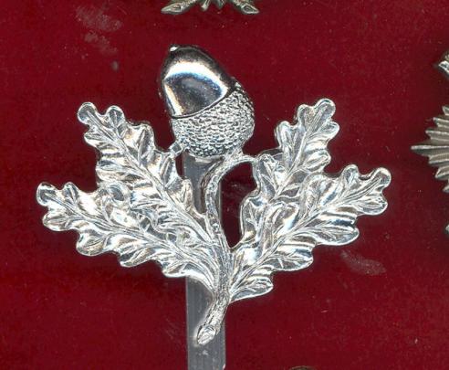 South Nottinghamshire Hussars staybright cap badge