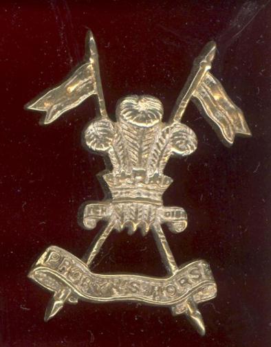 Indian Army Probyn's Horse , 5th King Edward's Own Lancers cap badge