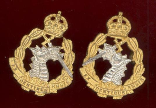 Royal Army Dental Corps Officer's dress collar badges