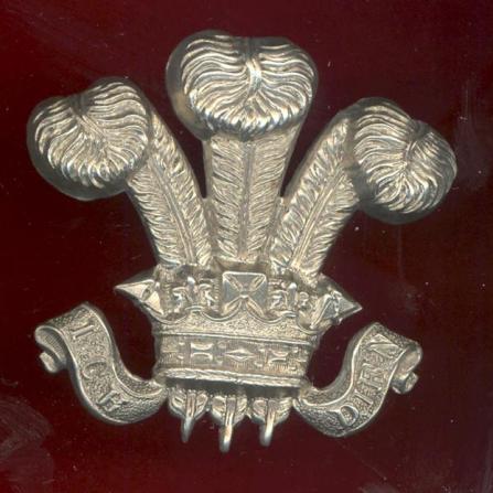 3rd Prince of Wales Dragoon Guards  NCO's arm badge