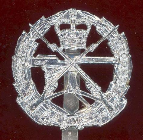 Small Arms School staybright cap badge