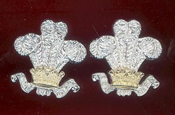South Lancashire (Prince of Wales's Vols) staybright collar badges