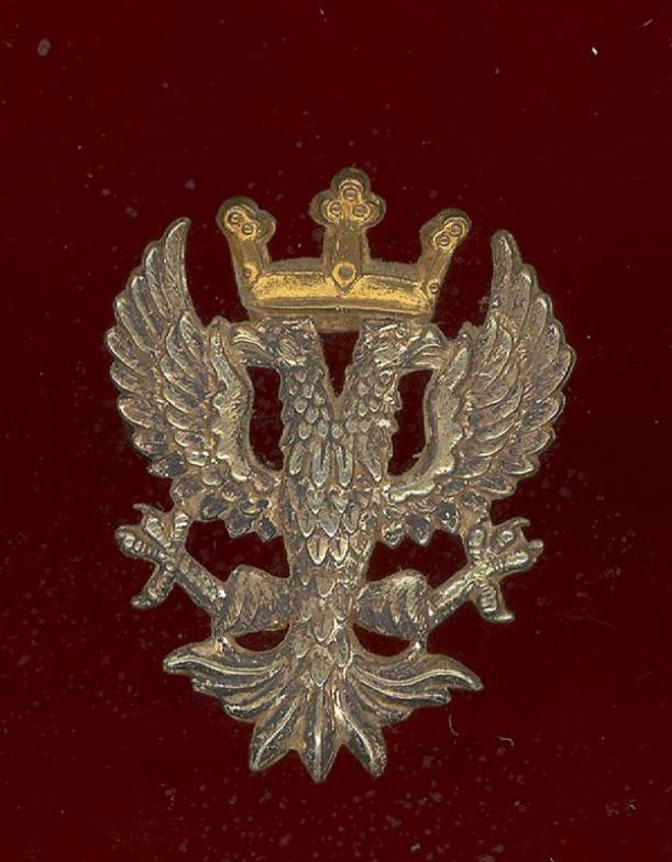The Mercian Brigade Officer's cap badge