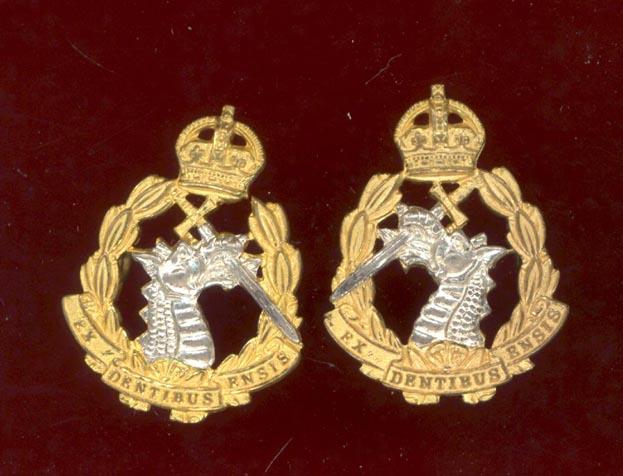 Royal Army Dental Corps Officer's dress collar badges