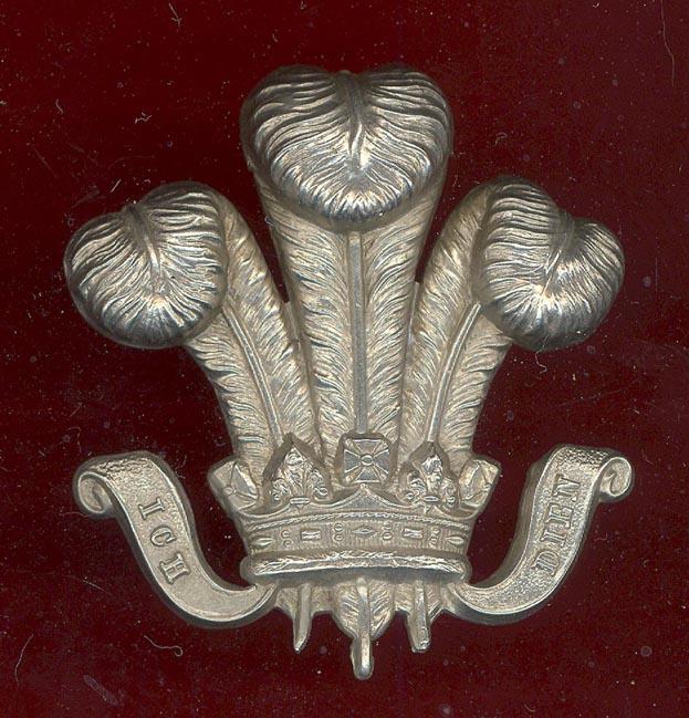 3rd Prince of Wales Dragoon Guards NCO's arm badge