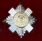 Scots Guards NCO's staybright cap star