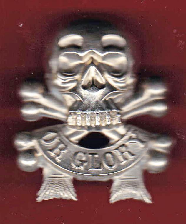 17th DCO Lancers NCO's arm badge