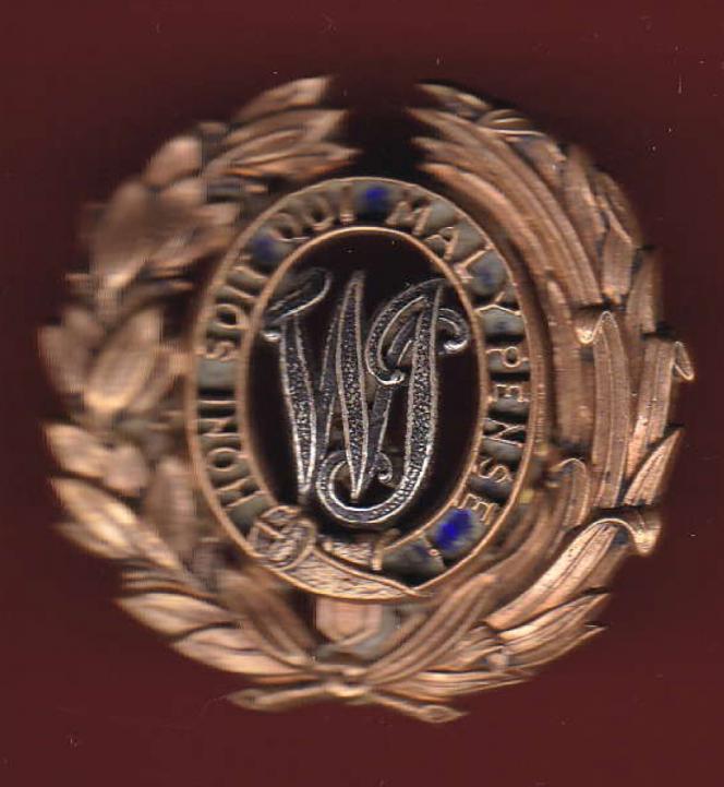 West India Regiment Officer's helmet / pagri badge