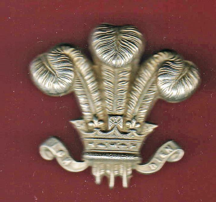 10th Royal Hussars WW2 JNCO's arm badge