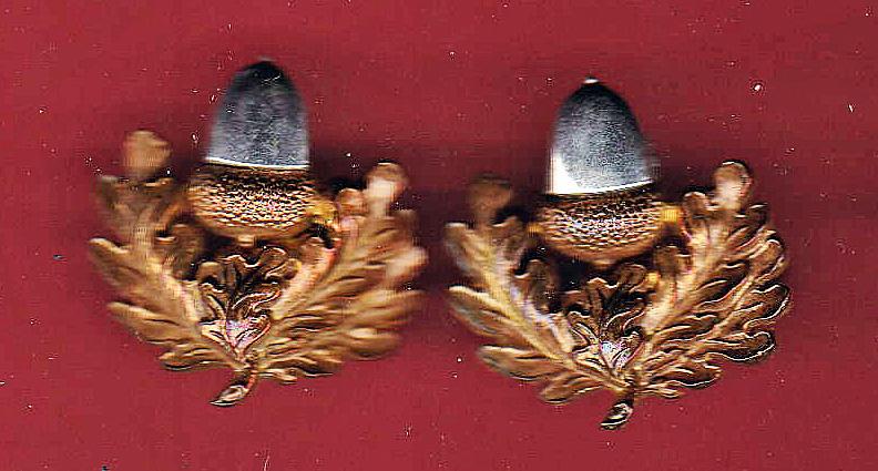The Cheshire Regiment Officer's collar badges
