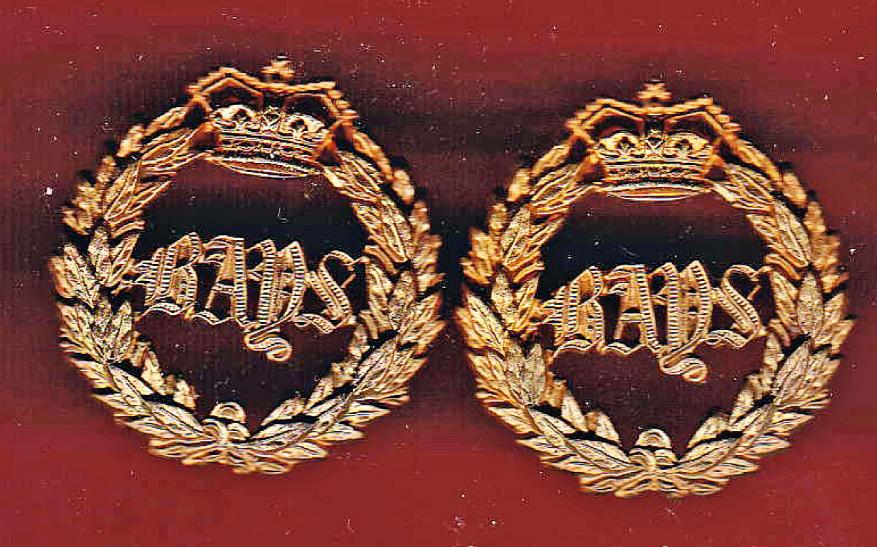 2nd Dragoon Guards ,The Queens Bays Victorian OR's collar badges