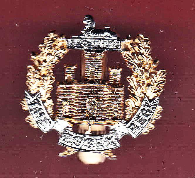 The Essex Regiment staybright cap badge