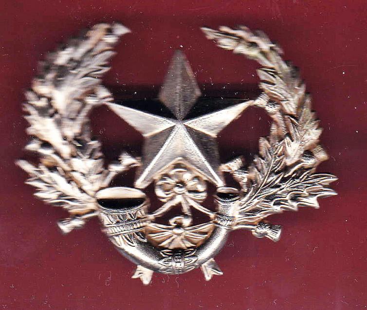Scottish WW1 2nd BN. Cameronians Scottish Rifles OR's glengarry badge