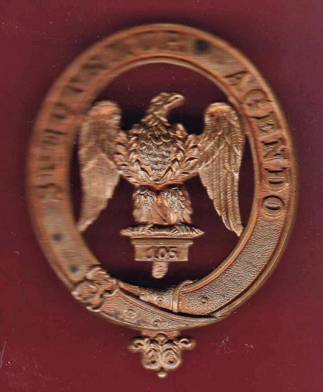 1st Royal Dragoons Victorian undress sabretache badge