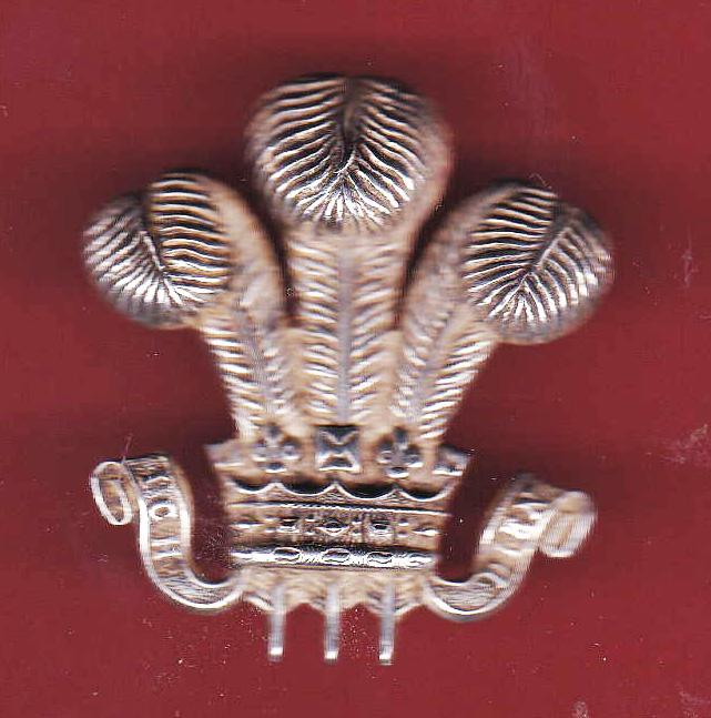 Royal Hussars  NCO's H/M silver arm badge