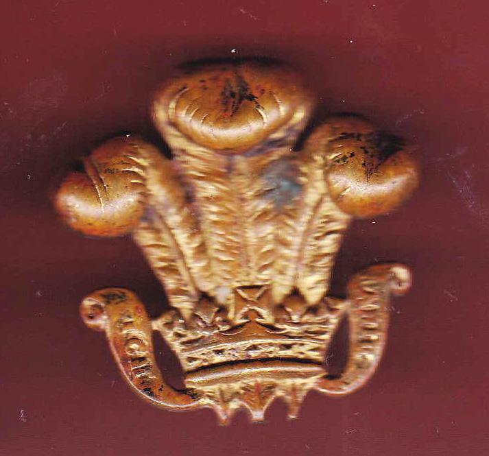 The Royal Wiltshire Yeomanry NCO's arm badge