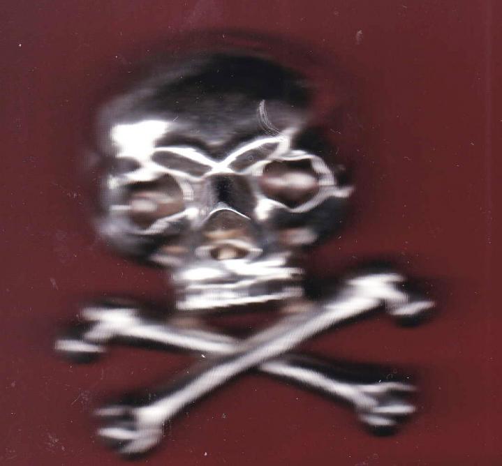 17th D.C.O. Lancers Officers Sabretache Badge