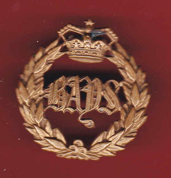 2nd Dragoon Guards , Queen's Bays Victorian OR's cap badge