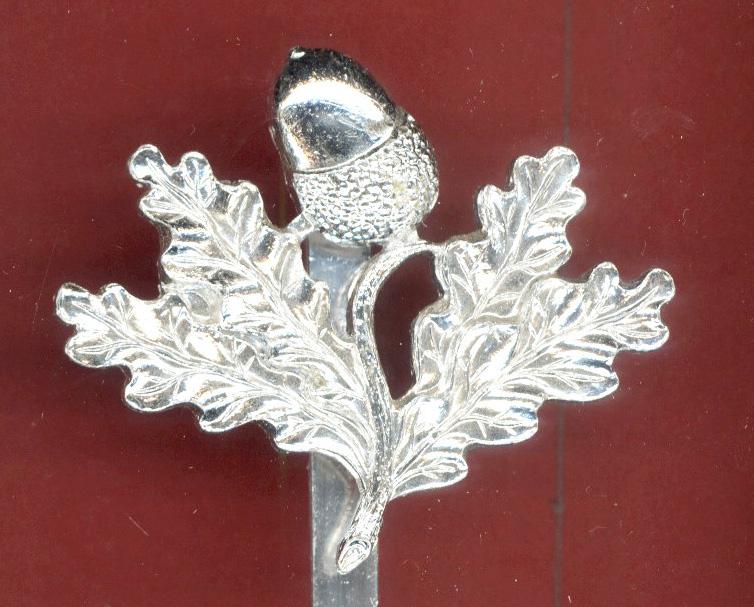 South Nottinghamshire Hussars staybright cap badge