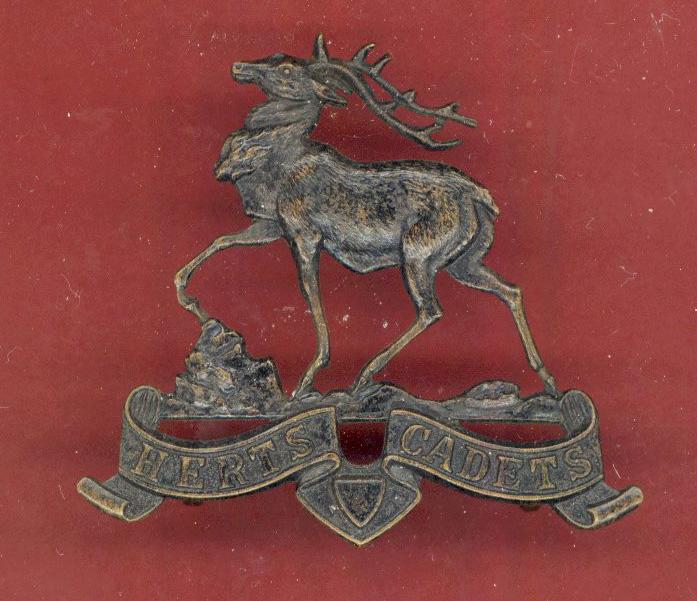 Hertfordshire Cadets Officer's cap badge.