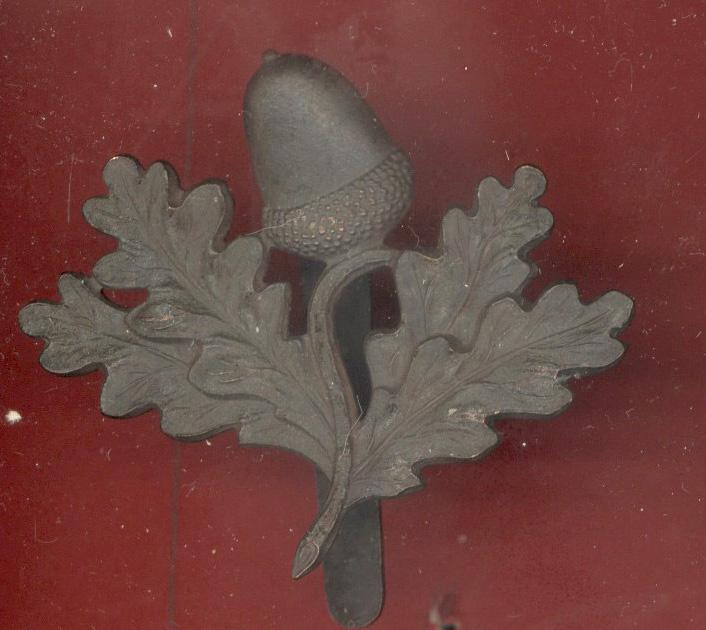 South Nottinghamshire Hussars Yeomanry OR's cap badge
