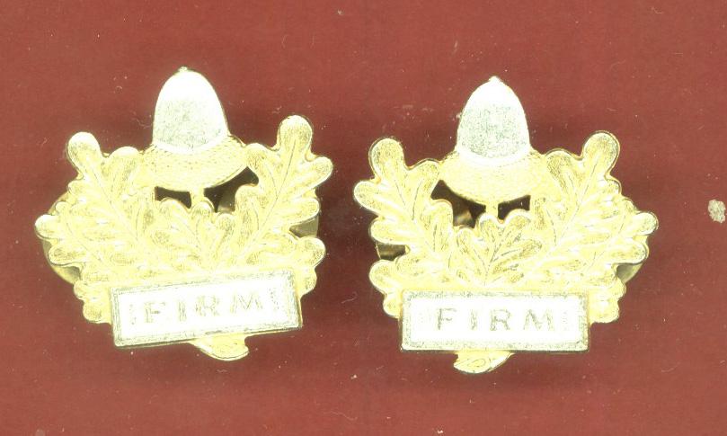 The Mercian Regiment (Cheshire, Worcesters and Foresters, and Staffords) collar badges