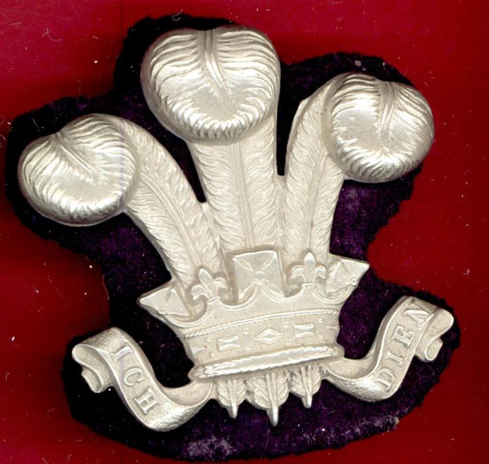 12th Royal Lancers (Prince Of Wales's Own) NCO's arm badge