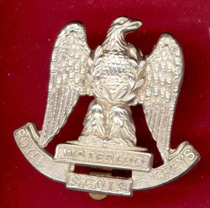 Scottish Royal Scots Greys OR's white metal cap badge
