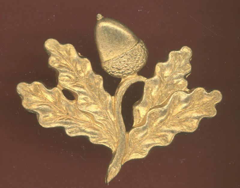 South Nottinghamshire Hussars Yeomanry Officer's cap badge