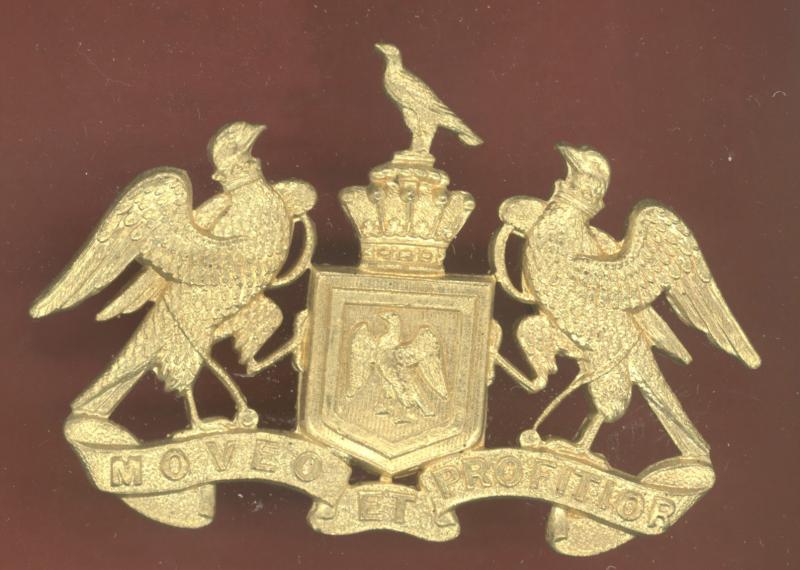 New Zealand 8th South Canterbury Mounted Rifles WW1 cap badge