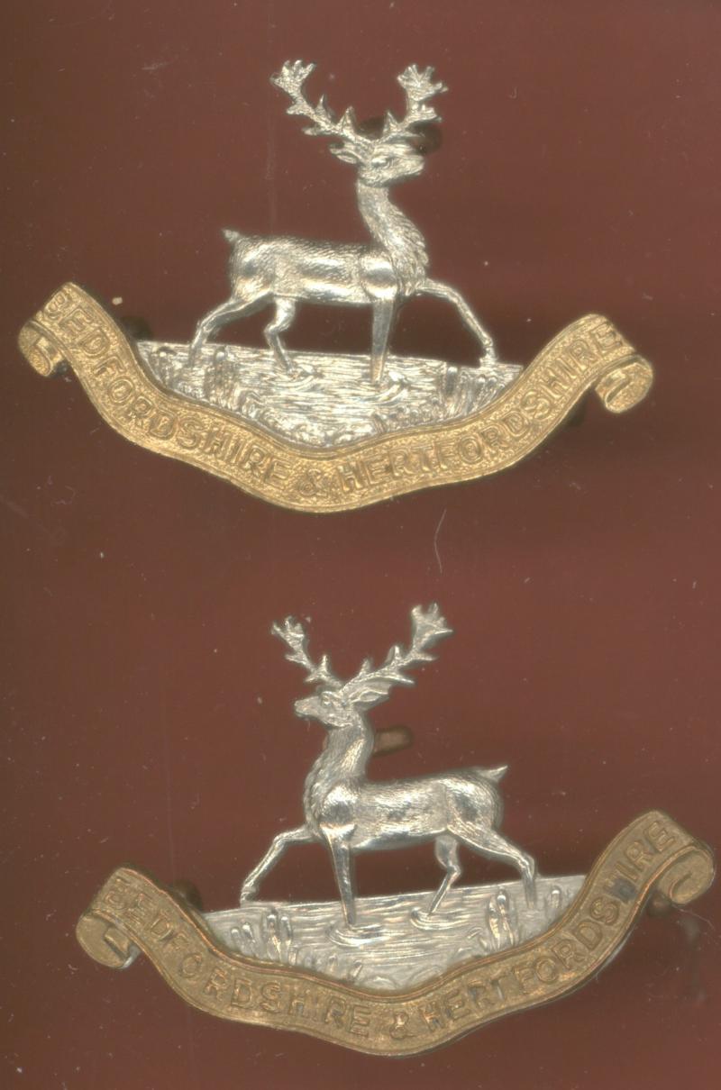 Bedfordshire & Hertfordshire Regiment OR's collar badges