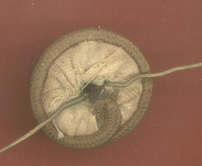 Royal Berkshire Regt. Princess Charlotte of Wales's Officer's cap badge