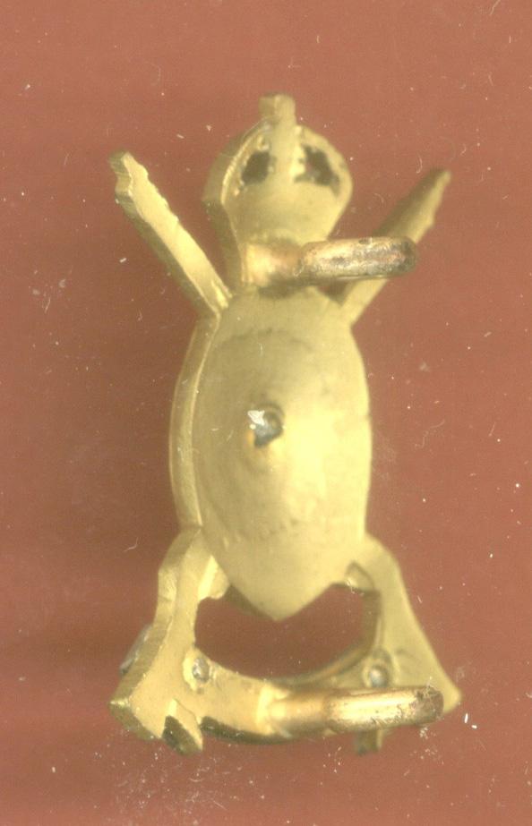 Hampshire Yeomanry Carabiniers Officer's badge